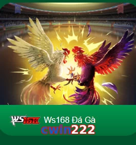 cwin222